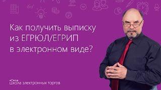 Как получить выписку из ЕГРЮЛ/ЕГРИП в электронном виде?