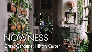 Great Gardens: Hilton Carter's houseplant paradise