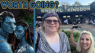 Is Animal Kingdom and Pandora worth going to in 2024?