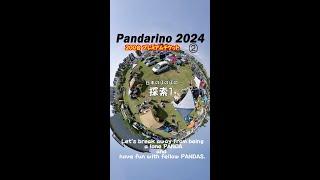 日本一のほのぼの「パンダリーノ(Pandarino)」2024② 探索1 行きます！FIAT PANDA・フィアットパンダ