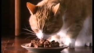 Whiskas 1986 TV advert