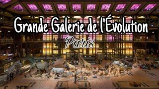 Grande Galerie de l'Évolution . Paris