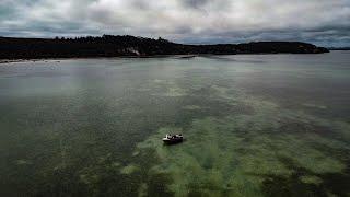 This Place Is So Special! | Kingfish Sharks & Snapper | Fishing NZ