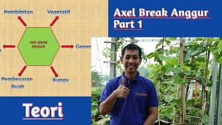 Axel Breaks the Wine Part 1 || Complete Theory ||. SOLUTIONS Batang Besar Tunas Ngacir.