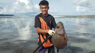 Menombak ikan langsung di bakar