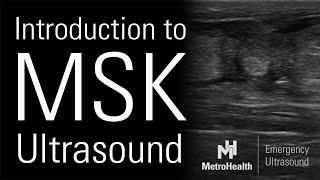 Intro to MSK Ultrasound