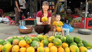 Harvesting Ripe Papaya Fruit Goes To Countryside Market Sell - Cooking Papaya