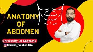 Anatomy Of Abdomen (part1)آموزش آناتومی شکم  جلسه اول