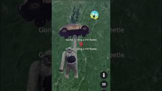 Gorilla lifts a caron Google Earth #shorts #googlemaps #googleearth #armkien