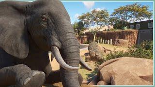 African Elephant Habitat | Planet Zoo Slow Build [No Commentary]