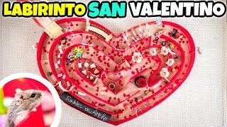 LABIRINTO DI SAN VALENTINO per il nostro CRICETO Polpetta