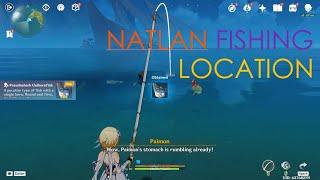 Natlan Fishing Spot and Fishing Association Genshin Impact