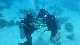 Underwater wedding proposal