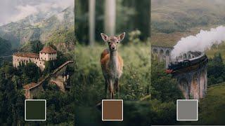 FREE DNG (Preset) - How to Get The Soft Faded Look like @michaelkagerer. Lightroom Wildlife Editing