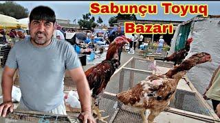 Sabunçu Toyuq Bazarı 7 İyul 2024