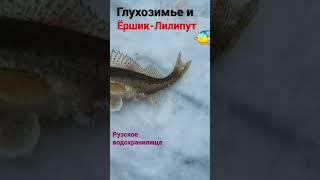 ЁРШИК - Лилипут и "глухозимье"Руза! #fishing #fish #рыбалка #ёрш #ёршик #ерш #руза #водохранилище