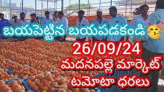 26-09-24 Madanapalle Tomato Market price Today || Today Tomato Market Rate in Madanapalle #today