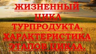 Жизненный цикл туристского продукта.  Характеристика этапов цикла.