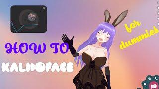 Kalidoface for dummies! VTuber rigging from VRoid to OBS