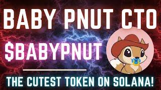 BABY PNUT CTO | Taking Over Solana Breaking ATH $BABYPNUT