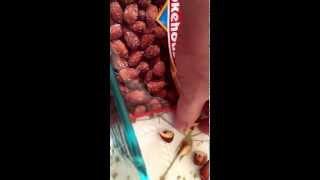 Worms in the Almonds from big box store (Walmart)!