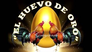 " EL HUEVO DE ORO"