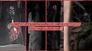 HORROR! KUMPULAN PENAMPAKAN NYATA DIDALAM HUTAN !!!