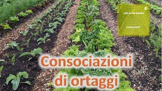 Consociazioni di ortaggi - dal podcast Life in the Garden