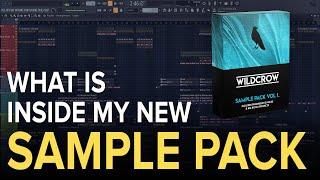 WHAT IS INSIDE MY NEW SAMPLE PACK | 400 Samples + 2FLPs (Progressive House & Big Room) 