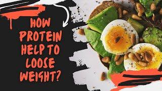 Carbs vs. Protein: Which One Helps You Lose Weight Faster?"