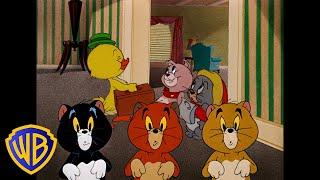 Tom & Jerry | Cutest Little Animals!  | Classic Cartoon Compilation | @wbkids​