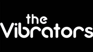 The Vibrators - Live in London 1977 [Day II, Full Concert]