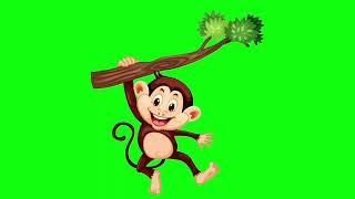 Animated green screen Monkey-5| No copyright | Animation World