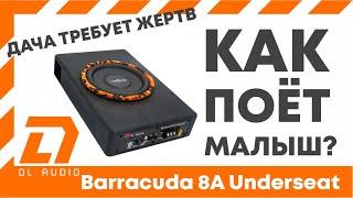 Замена сабвуфера на Barracuda 8A Underseat от DL Audio, маленький саб под сиденье или для багажника