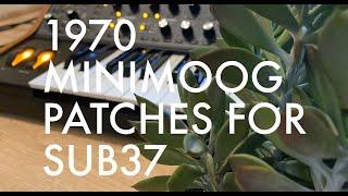 Minimoog 1970 Patches for Sub 37