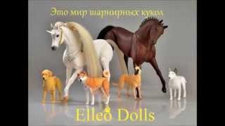 Рекламный ролик Elleo Dolls (Анастасия Моисеенко)