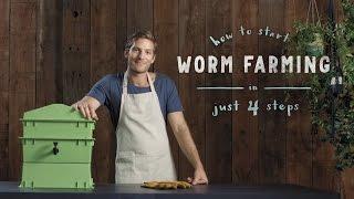How to start a worm farm in 4 steps: vermiculture made easy