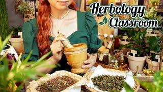 ASMR Witch’s Herbal Magic Herbology Classroom