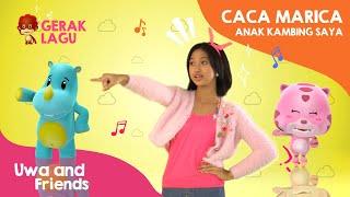 Gerak dan Lagu Caca Marica Anak Kambing Saya - Gerak Lagu PAUD - Senam PAUD