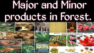 major and minor forest products ||  the use of major and minor forest products