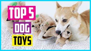  Best dog toys on amazon  in 2024