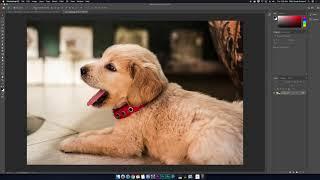 Resizing an Image for the Web in Photoshop