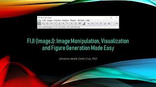 FIJI (ImageJ): Image Manipulation, Visualization and Figure Generation Made Easy