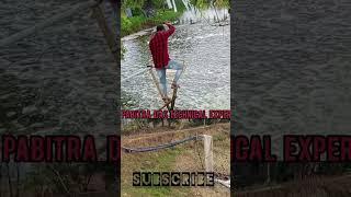 shorts #shrimpfarming #fishery #aquaculture #shortvideo #vannamei #pabitradas #shrimpfarming #shrimp