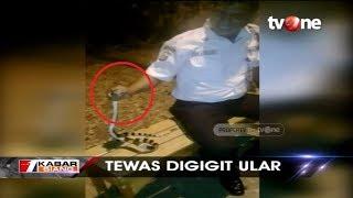 Nahas, Viral Video Satpam Tewas Digigit Ular Weling