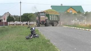 Powerful team: Claas Jaguar 870, MTZ 3022, MAZ trucks at work