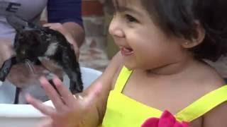 Baby Playing Outdoor and Giving Cat Bath - ZMTW