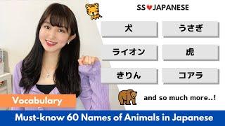 𝙑𝙊𝘾𝘼𝘽𝙐𝙇𝘼𝙍𝙔 || 60 Names of Animals in Japanese with Example Sentences) || Japanese Lesson