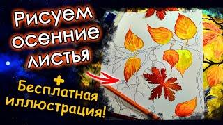 РИСУЕМ осенние ЛИСТЬЯ! Новая ИЛЛЮСТРАЦИЯ. Раскраски пнтистресс.