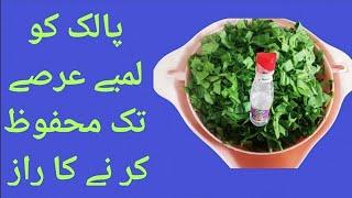 The Simplest Method to store palak (spinach) for 6 months